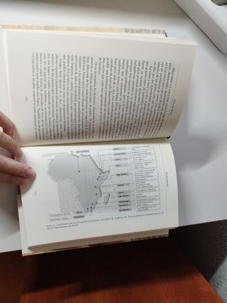 La especie elegida : la larga marcha de la evol...