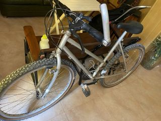 Bicicleta montaña vintage