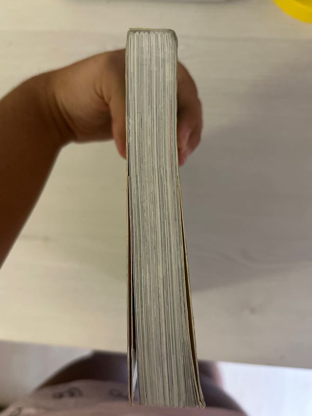 Los Futbolísimos 1: El misterio de los árbitros...