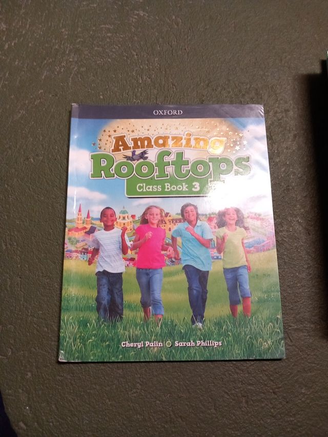 Amazing Rooftops 3. Class Book