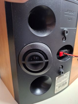 Altavoces BOSE 301 serie V