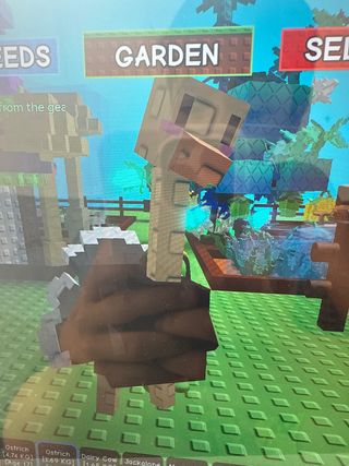 Mascotas de juego: ¡1 avestruz!