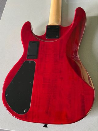 Bajo Jackson, Activo.