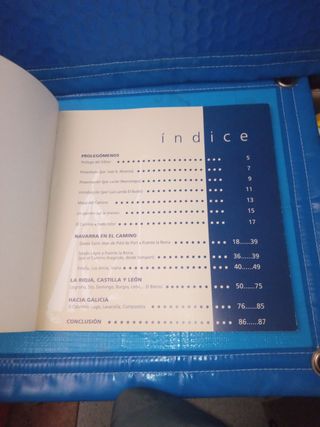 Pinceladas y retazos del Camino Jacobeo: Arte, ...