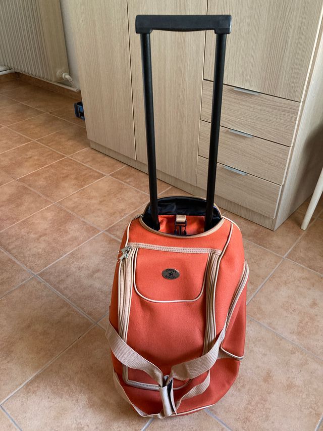 Bolsa de viaje con ruedas