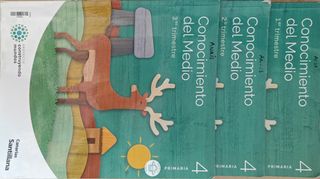 LENGUA MOCHILA LIGERA 4 PRIMARIA CONSTRUYENDO M...