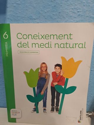 Pack completo libros 6º Primaria Santillana