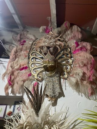 Trajes de comparsa