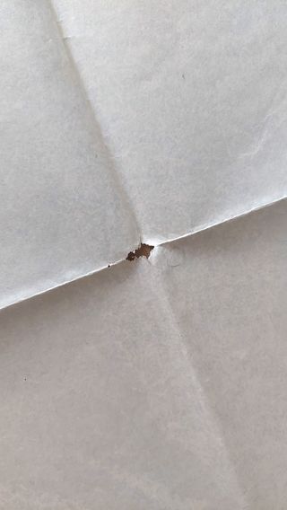 Cartel cine Grupo Salvaje (Wild Bunch 1969)