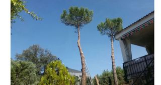 jardinero de poda de tala