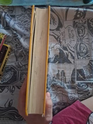 El faraon libro. Novela histórica