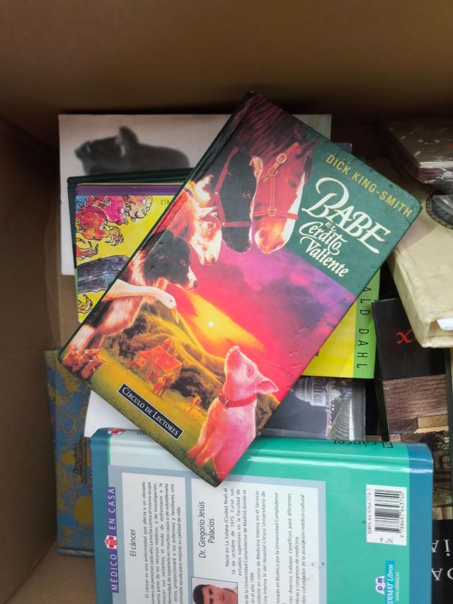 Yu Yu Hakusho - Ghost Files (Temporada 1)