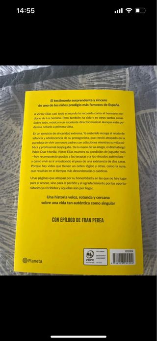 Yo sostenido: Historia de un juguete casi roto