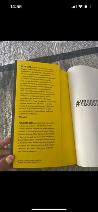 Yo sostenido: Historia de un juguete casi roto