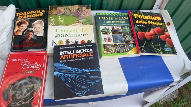 libri manuali e fumetti