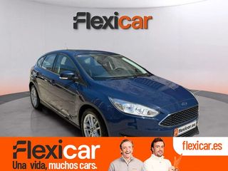 Ford Focus 1.5 TDCi E6 120cv Trend+