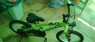 Bicicleta niño Denbike 16" verde