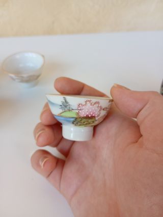 6 Tazzine Porcellana Dipinte