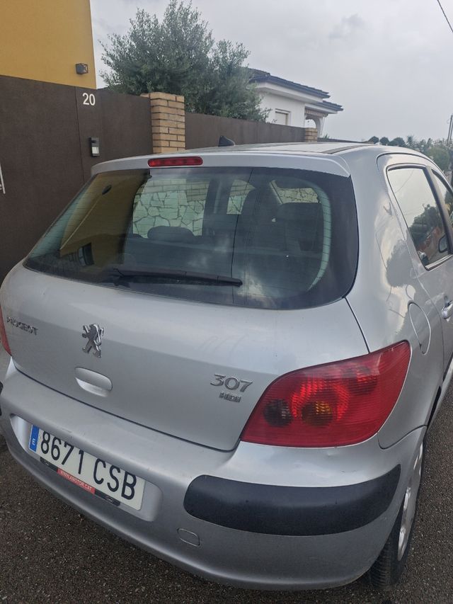 Peugeot 307 2002