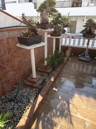 Peanas o pedestales bonsai