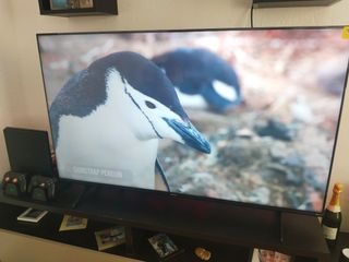 TV Hisense 55" QLED 4K negra