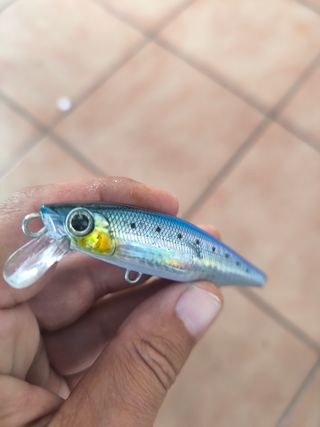 Señuelo Smith Lourdish 95HS