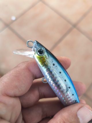 Señuelo Smith Lourdish 95HS