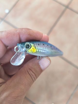 Señuelo Smith Lourdish 95HS