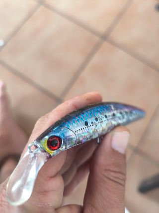 Señuelo Pesca Jackson Pin Tail EZ-45