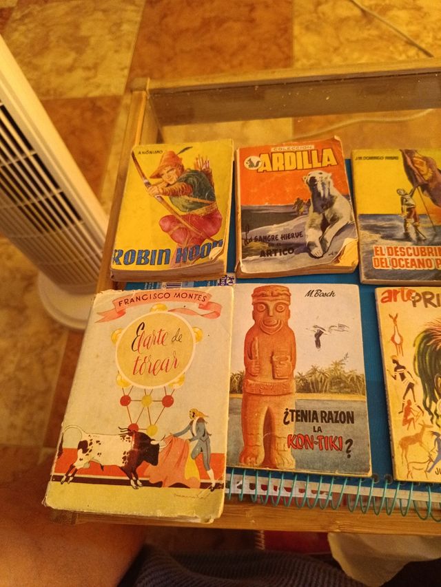 Lote LIBROS PEQUEÑOS Y ANTIGUOS USADOS