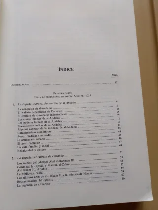 Manual de historia medieval