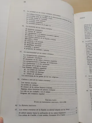 Manual de historia medieval