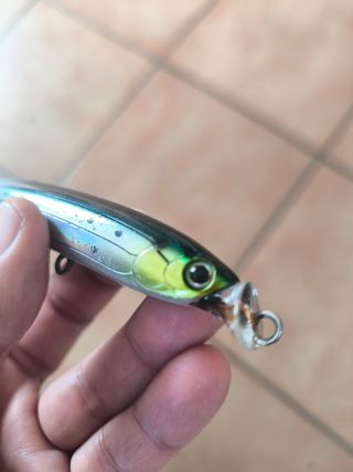 Señuelo Tackle House Bezel