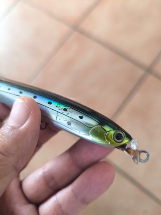 Señuelo Tackle House Bezel
