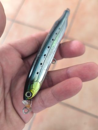 Señuelo Tackle House Bezel