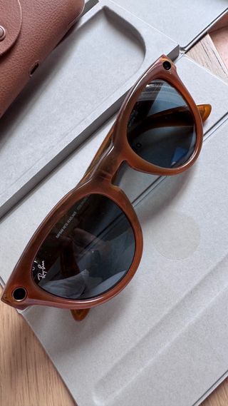 Gafas Ray Ban Meta HEADLINER marrón