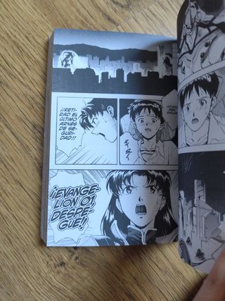 NEON GENESIS EVANGELION 01. ED. COLECCIONISTA