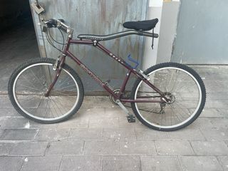 Bicicletta Softride Gecko Vintage