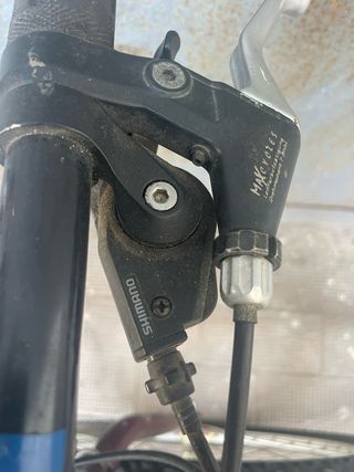 Bicicletta Softride Gecko Vintage