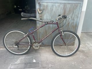 Bicicletta Softride Gecko Vintage