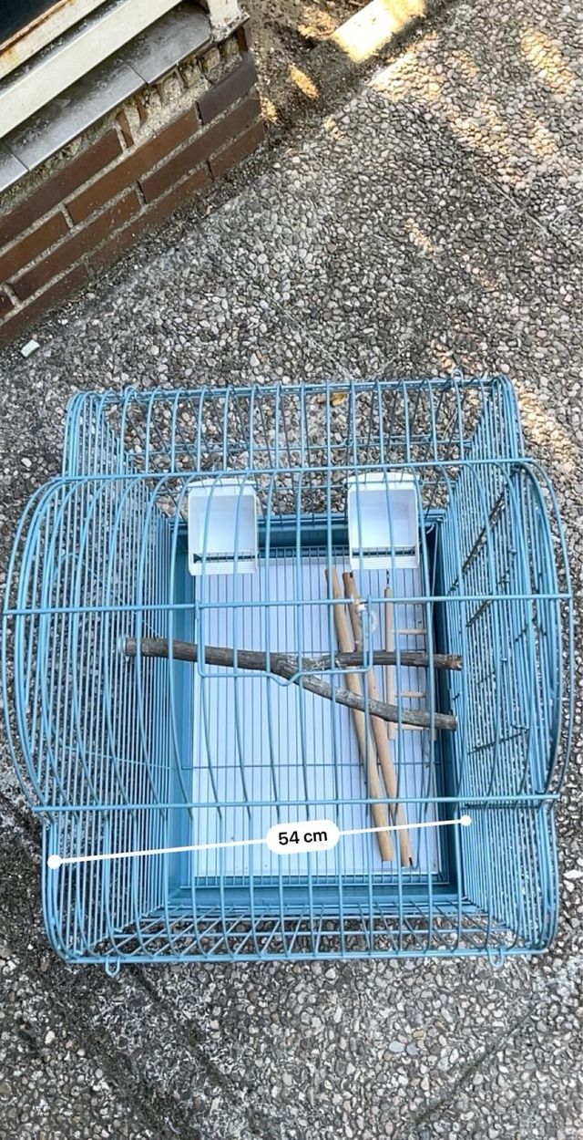 Jaula pajaros azul - Jaula para pájaros