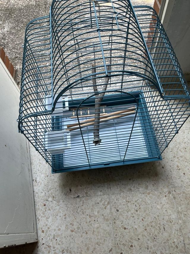 Jaula pajaros azul - Jaula para pájaros