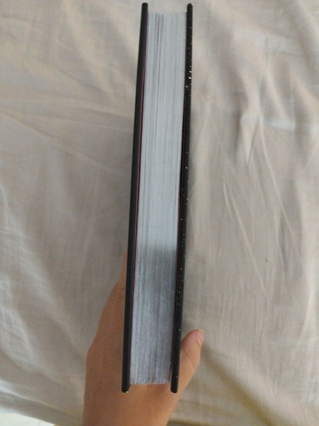 Isadora Moon y la noche mágica / Isadora Moon a...