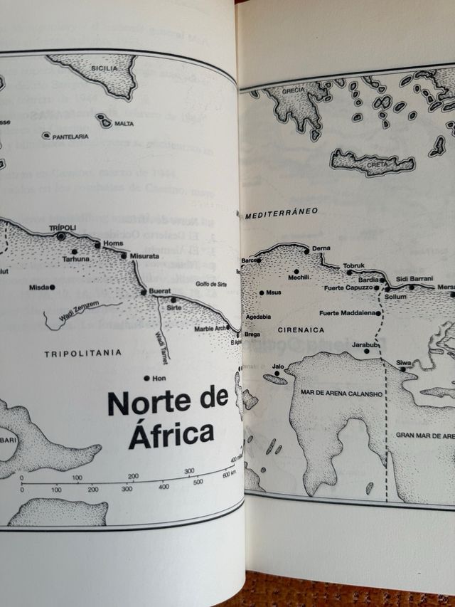 Ottava armata - Robin Neillands