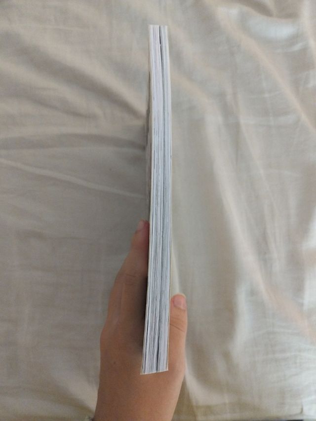 Isadora Moon va al parque de atracciones / Isad...