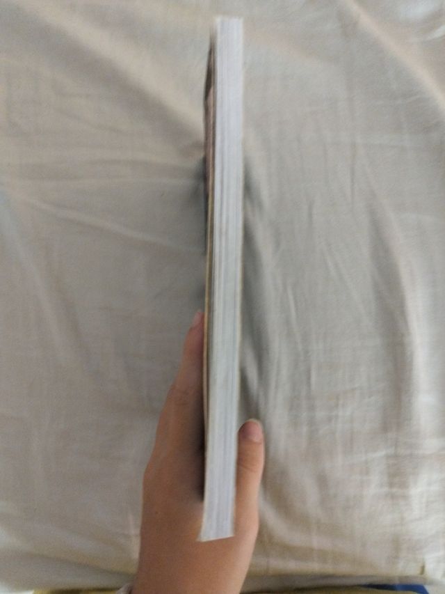 Isadora Moon va de excursion / Isadora Moon Goe...