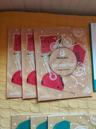 Lote Libros texto 6 primaria GSD