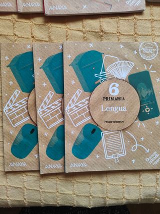 Lote Libros texto 6 primaria GSD