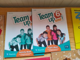Lote Libros texto 6 primaria GSD