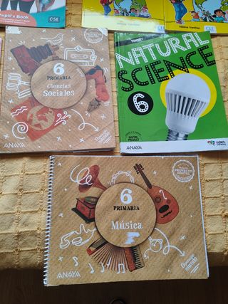 Lote Libros texto 6 primaria GSD